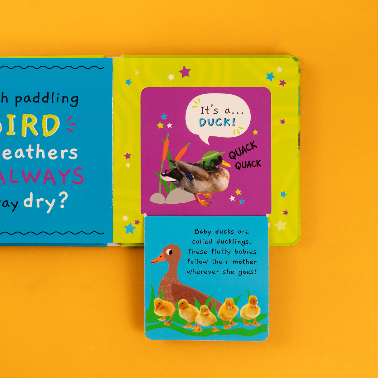 My First Facts Animals