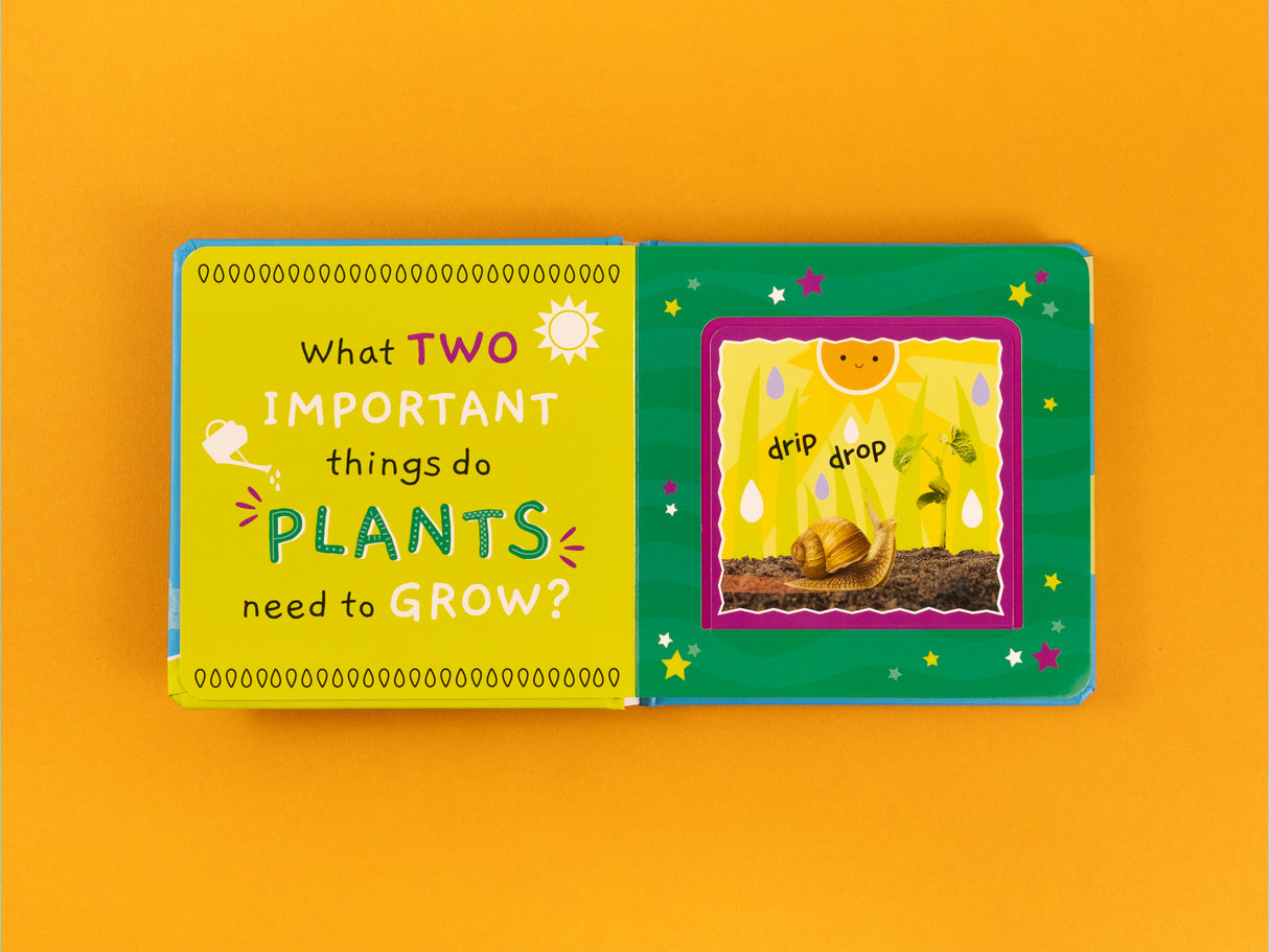 My First Facts Nature – Learning Lift-the-Flap Board Book