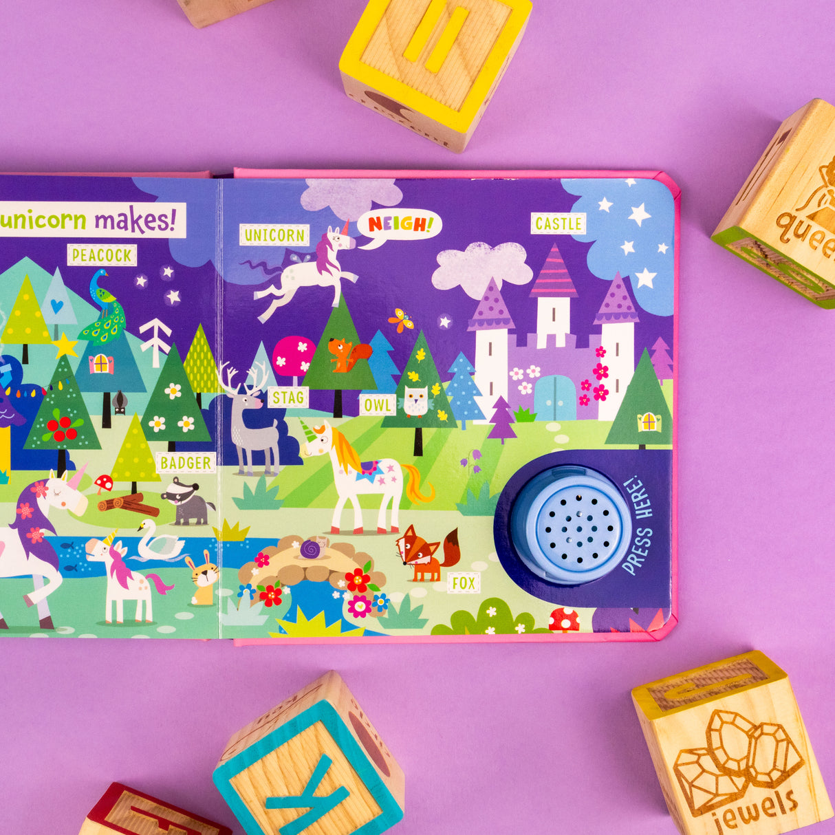 Magical Kingdom Can You Find The Right Noise? Children’s One Button Sound Book