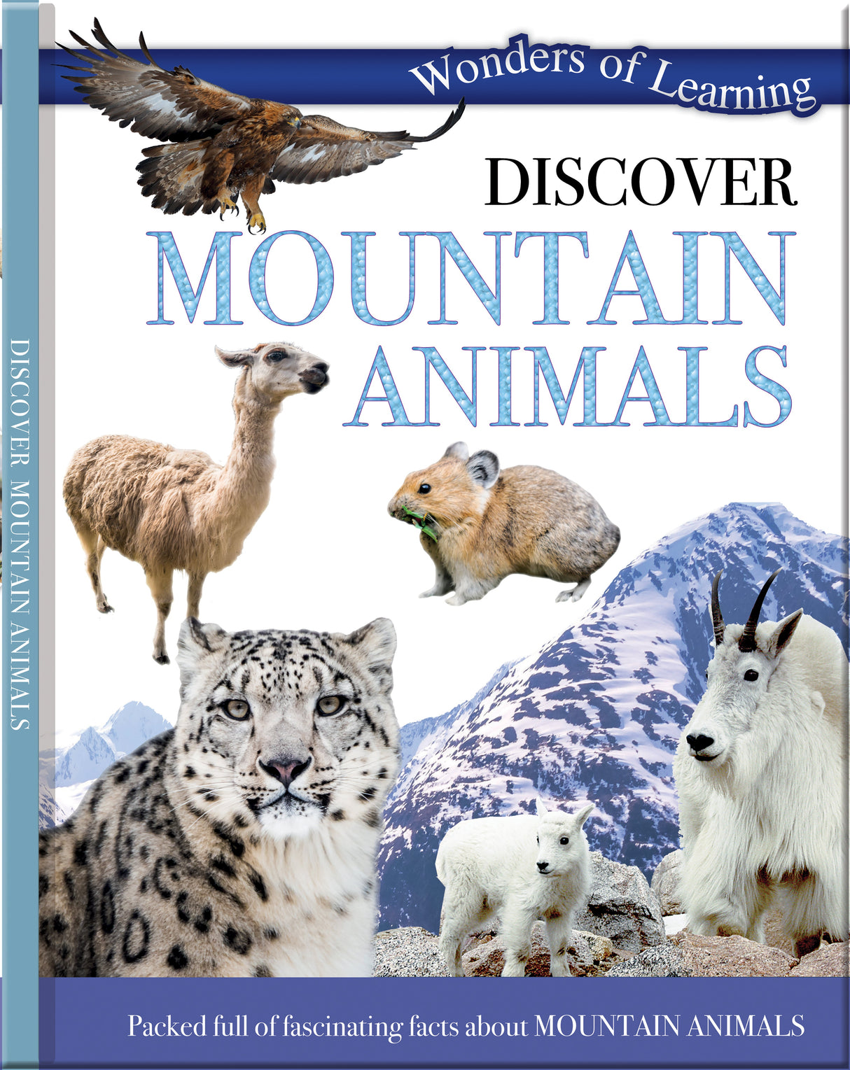 Discover Mountain Animals - Children's Reference Book
