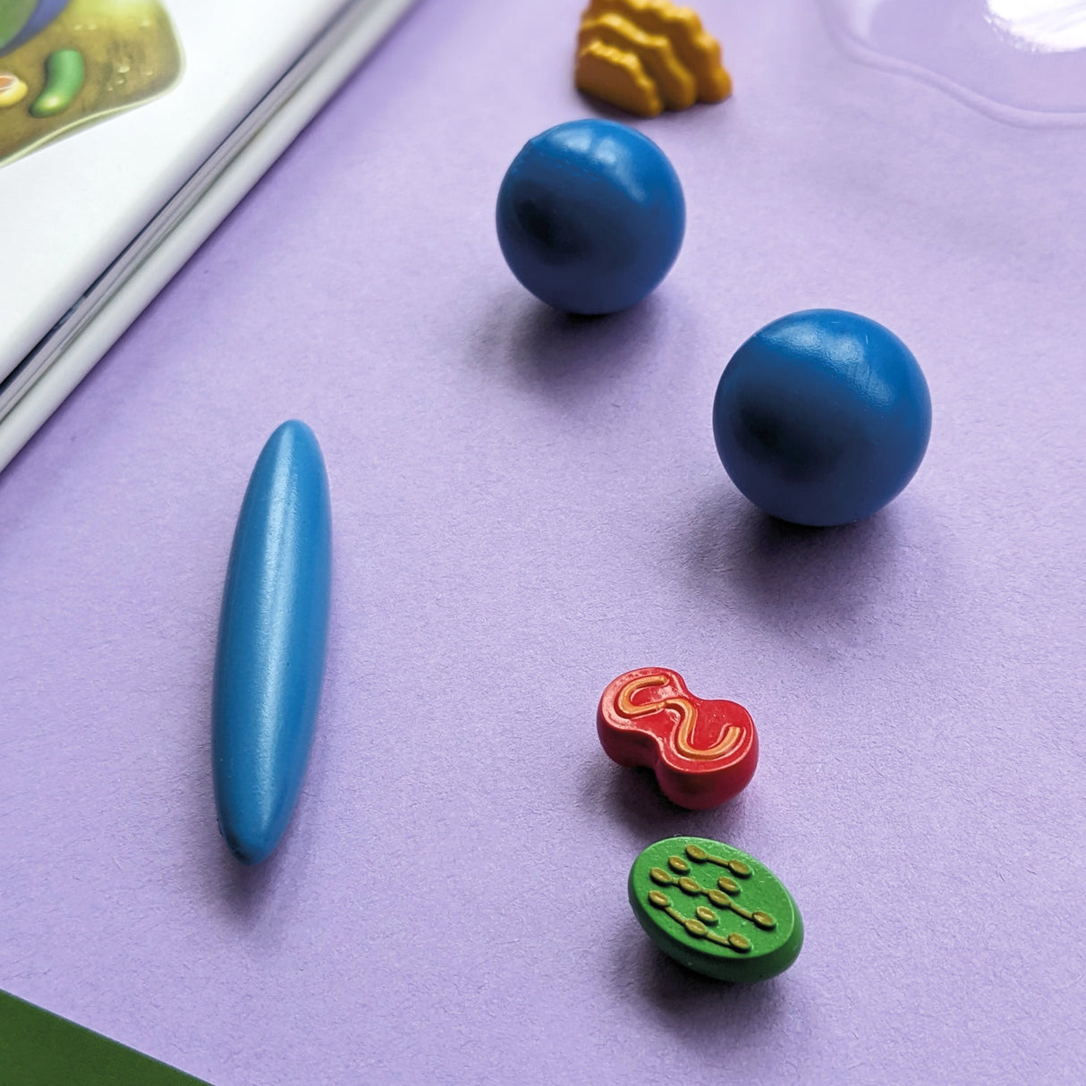 Discover Biology Educational Box Set - Children's STEM Learning