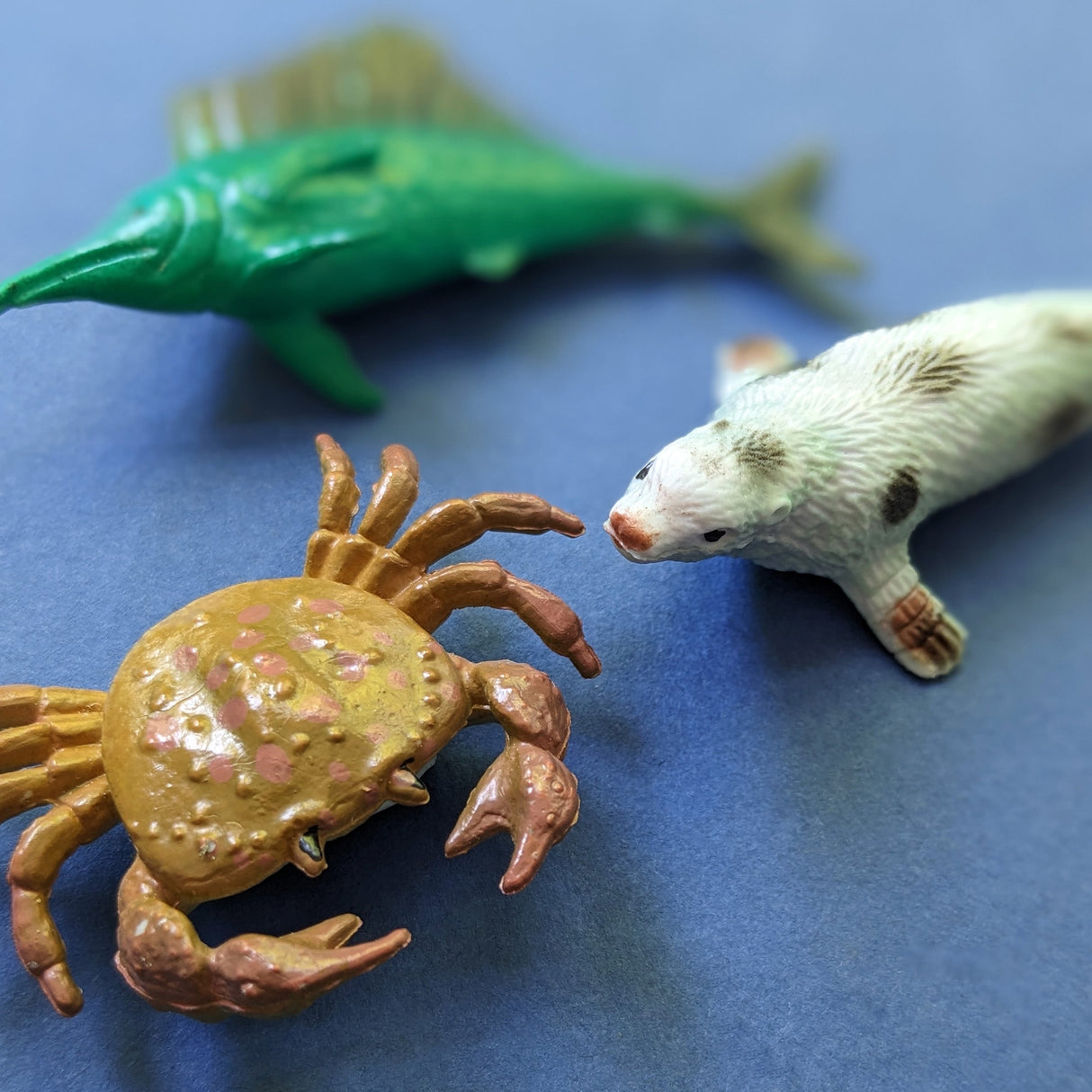 Discover Oceans Educational Box Set