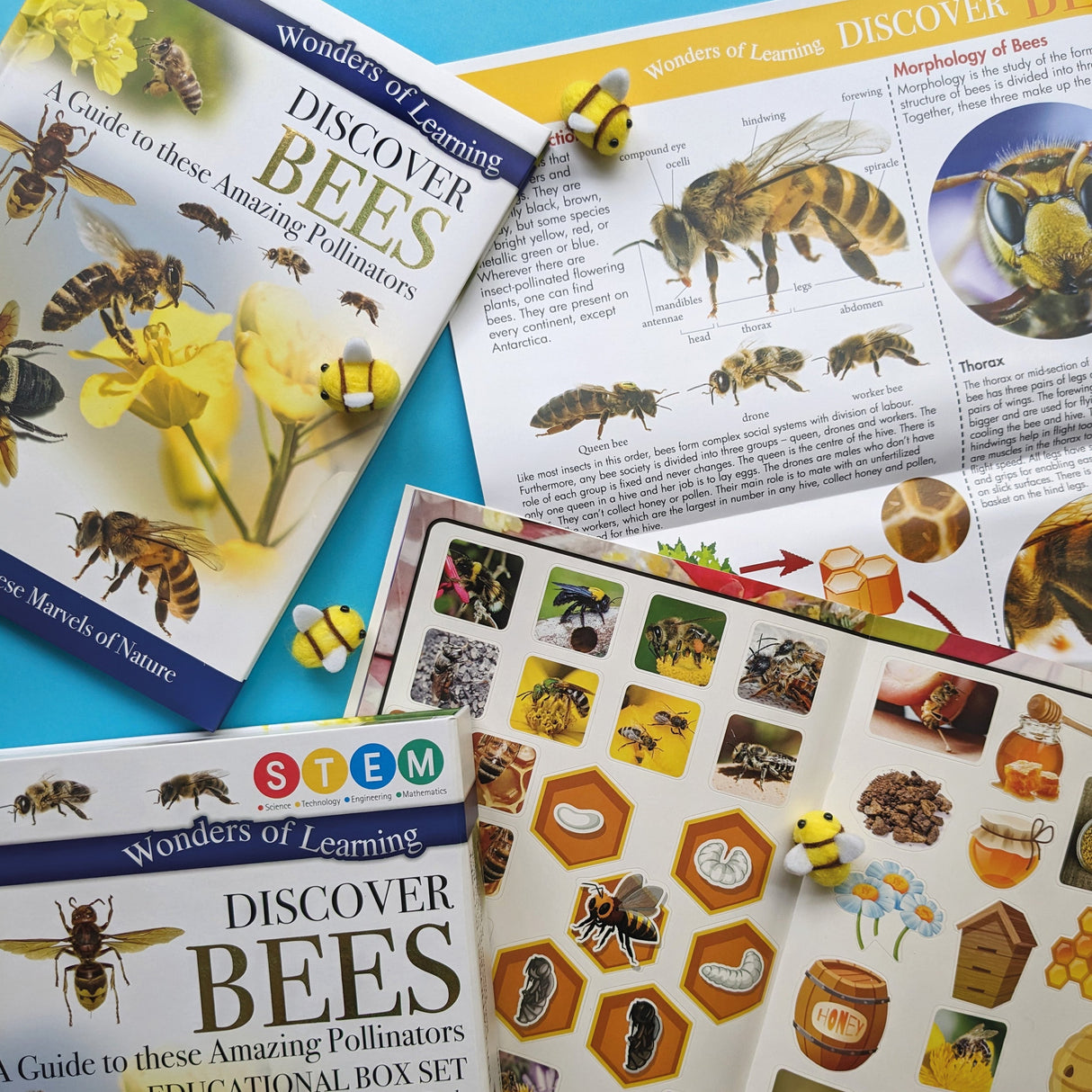 Discover Bees Educational Box Set - Children's STEM Learning