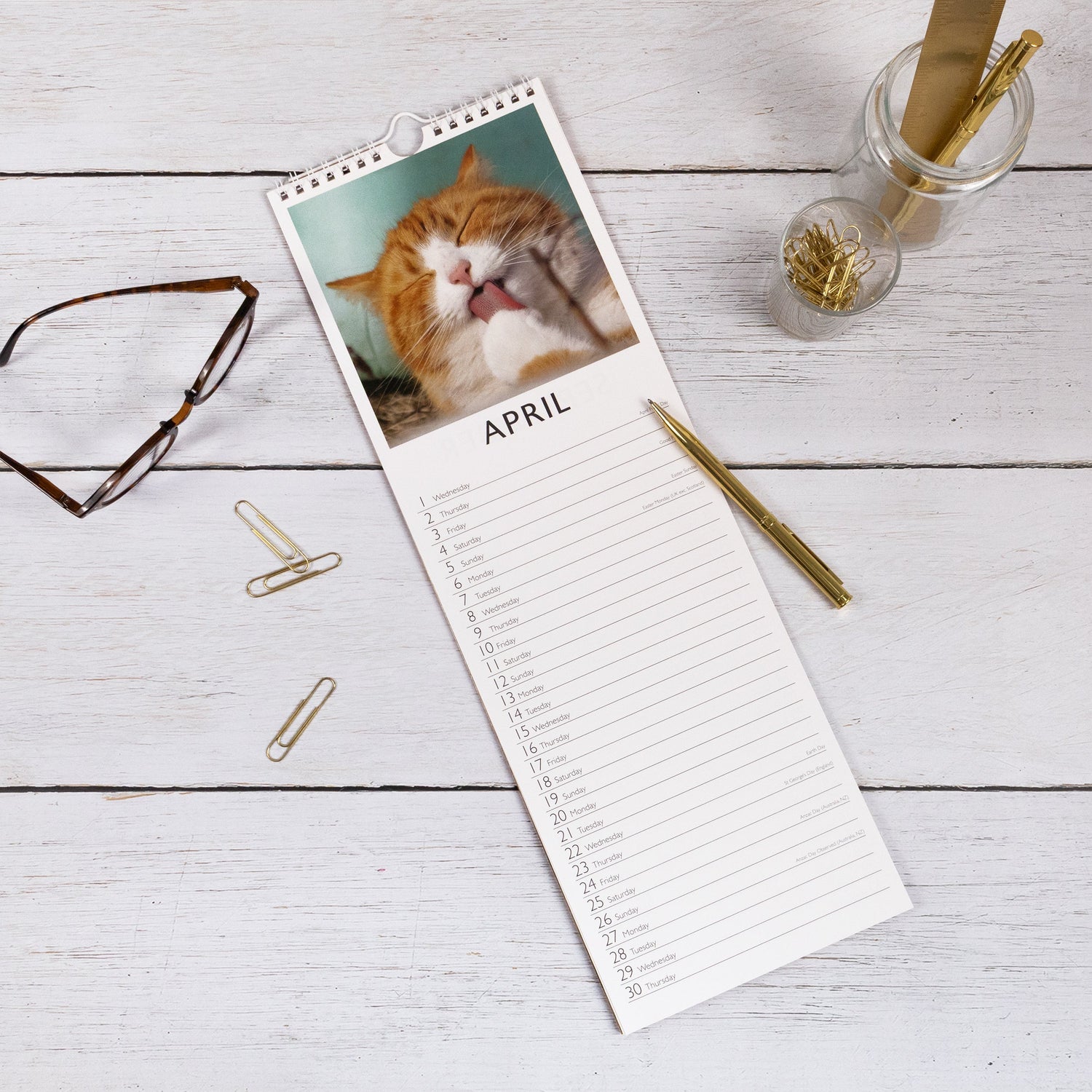 Cats Slim 2026 Wall Calendar