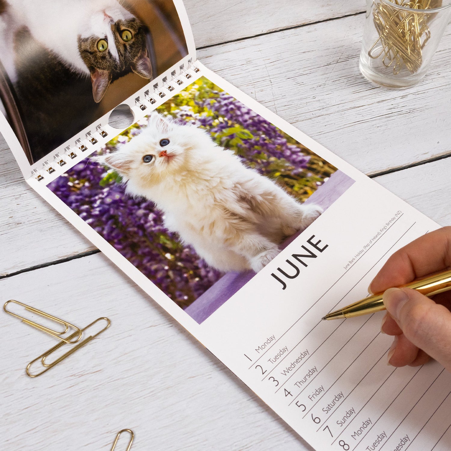 Cats Slim 2026 Wall Calendar
