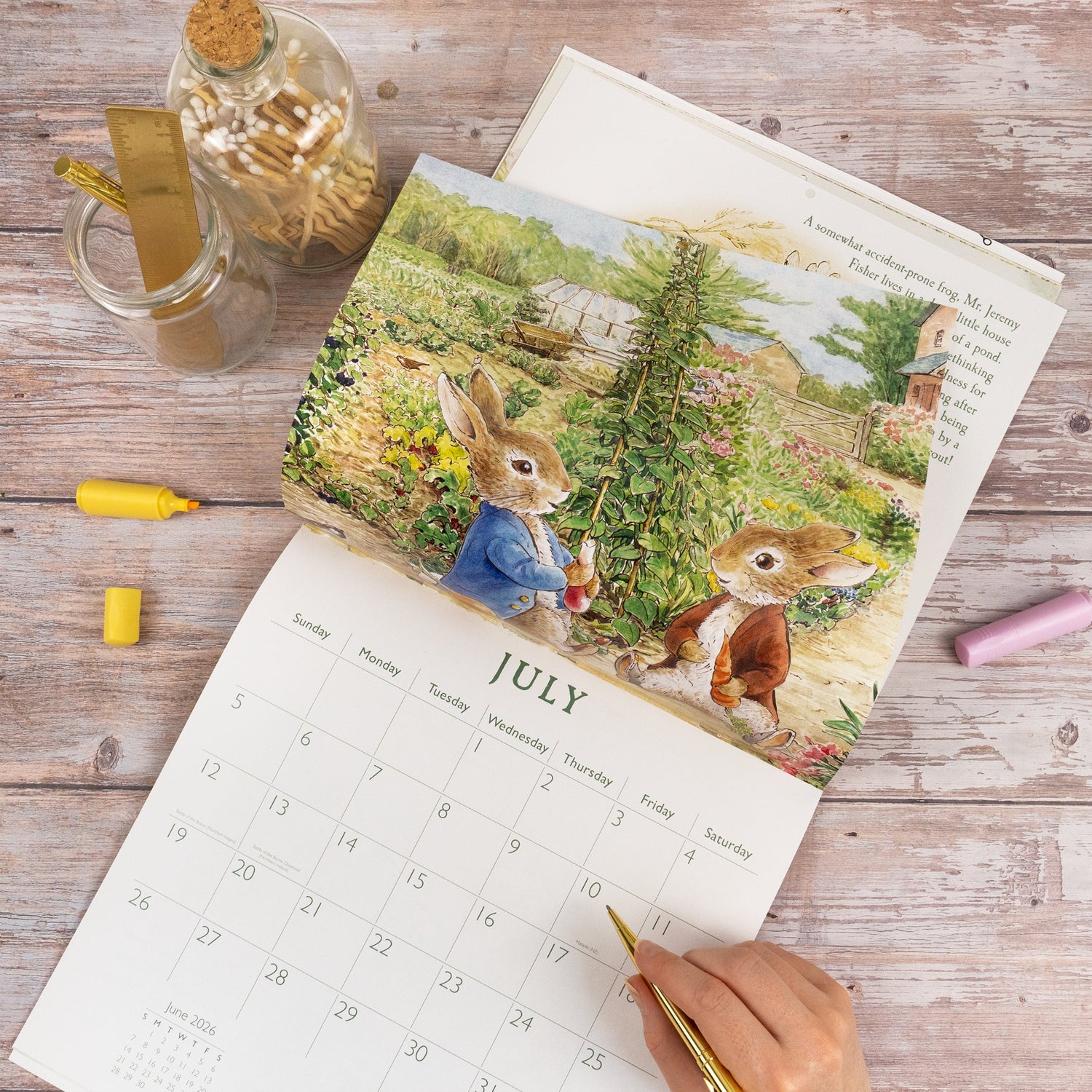Peter Rabbit 2026 Square Wall Calendar