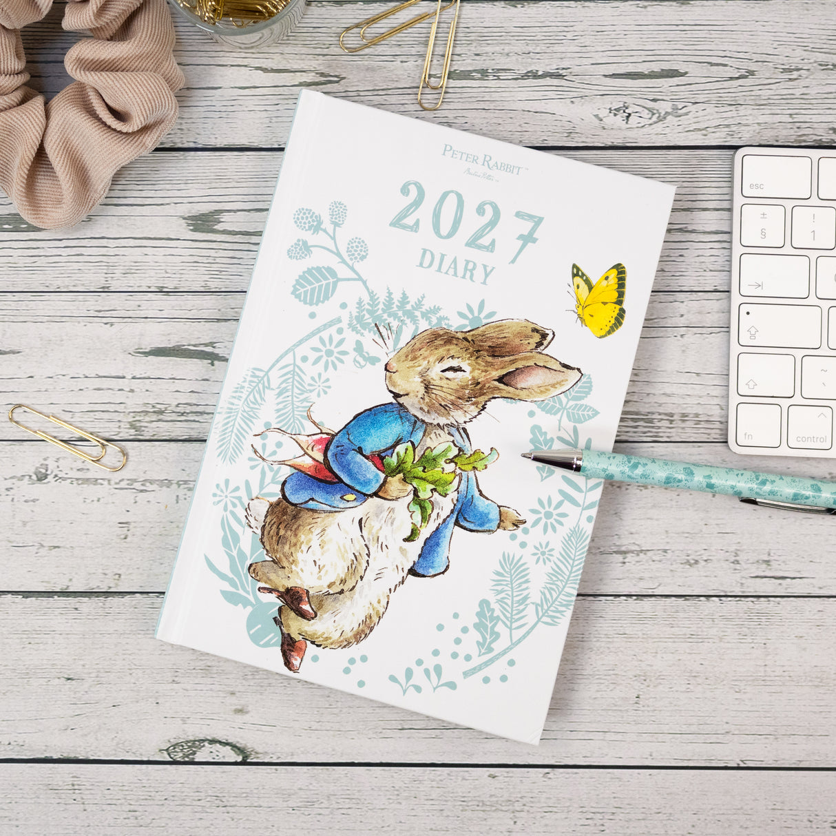 Peter Rabbit A5 Diary 2027