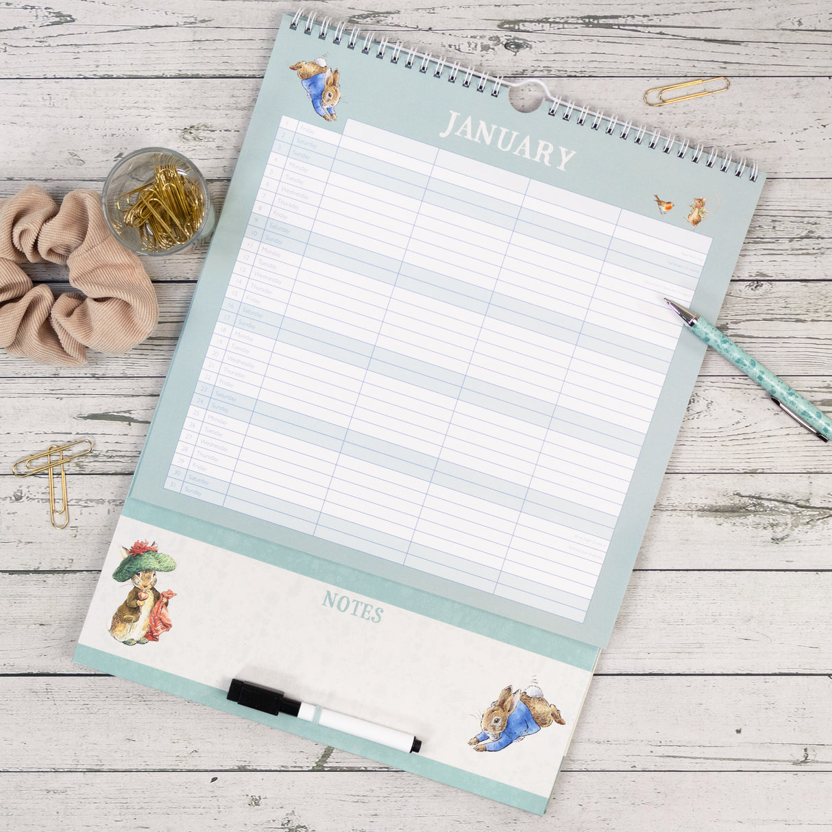 Peter Rabbit Family Organiser Wall Calendar 2027