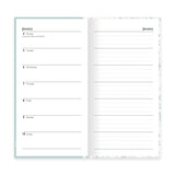 Peter Rabbit Slim Diary 2027