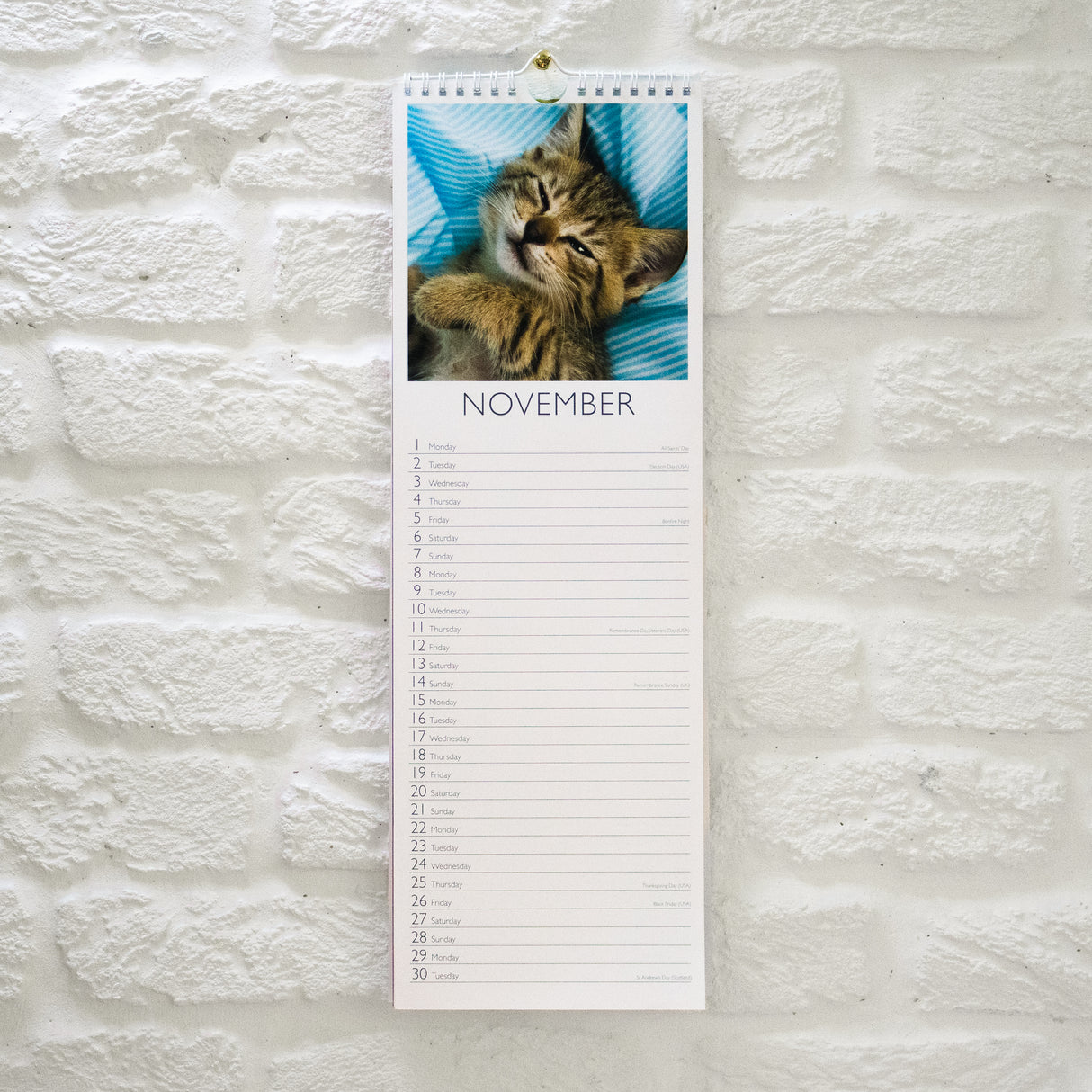 Cats Slim Wall Calendar 2027