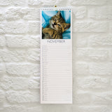 Cats Slim Wall Calendar 2027