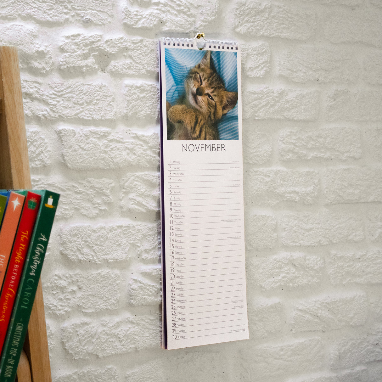 Cats Slim Wall Calendar 2027