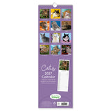 Cats Slim Wall Calendar 2027