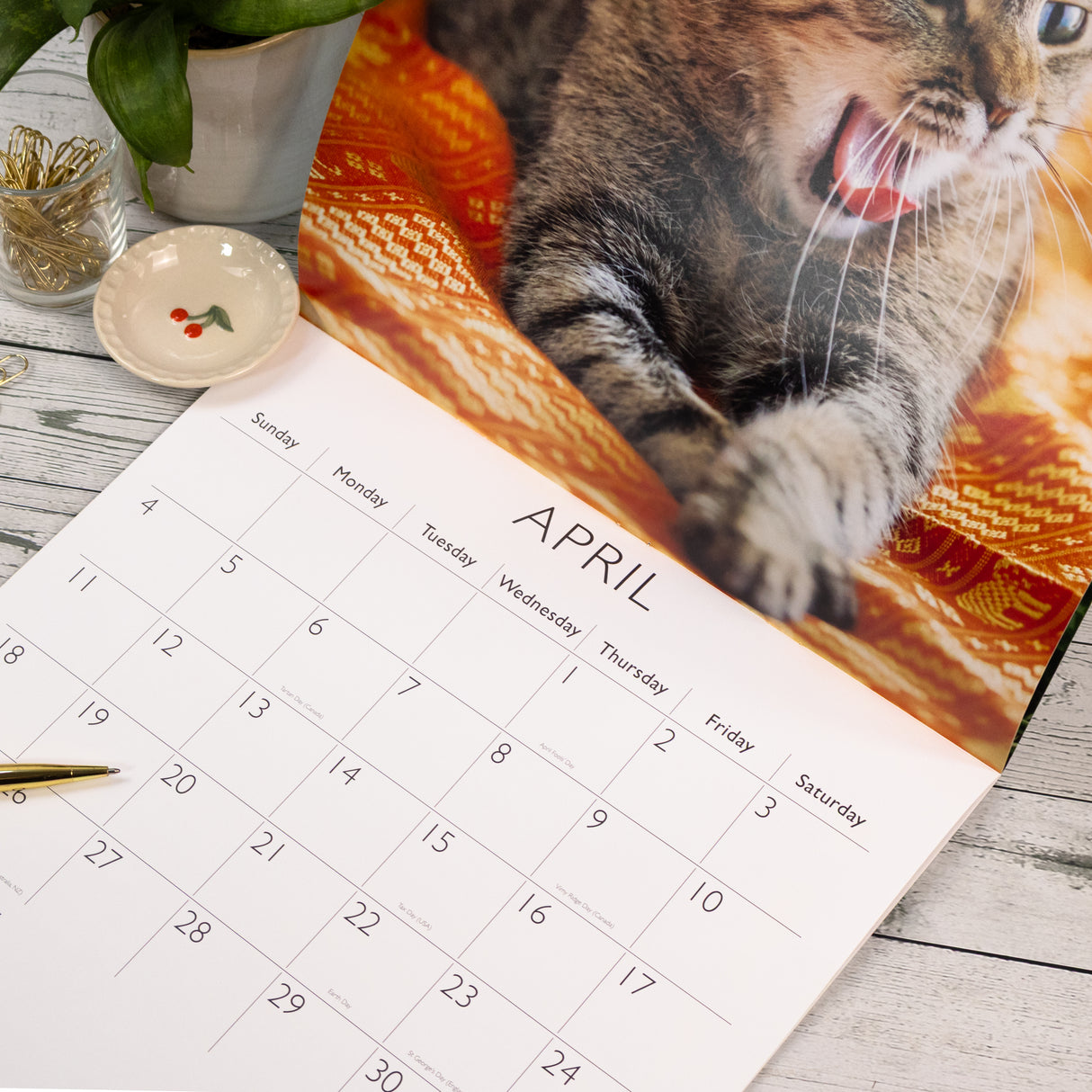 Cats Square Wall Calendar 2027