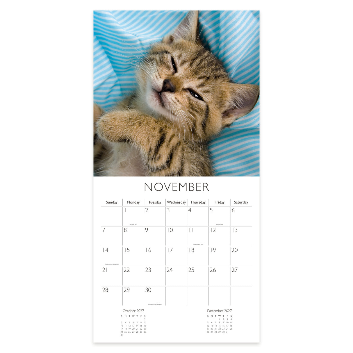Cats Square Wall Calendar 2027