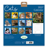 Cats Square Wall Calendar 2027