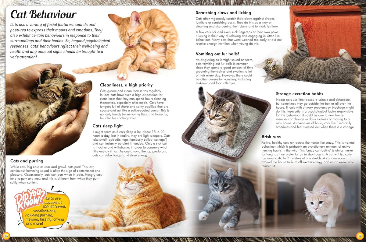 Cat Study Reference Discover an Encyclopedia of Cats - Children's Reference Book – Robert ...
