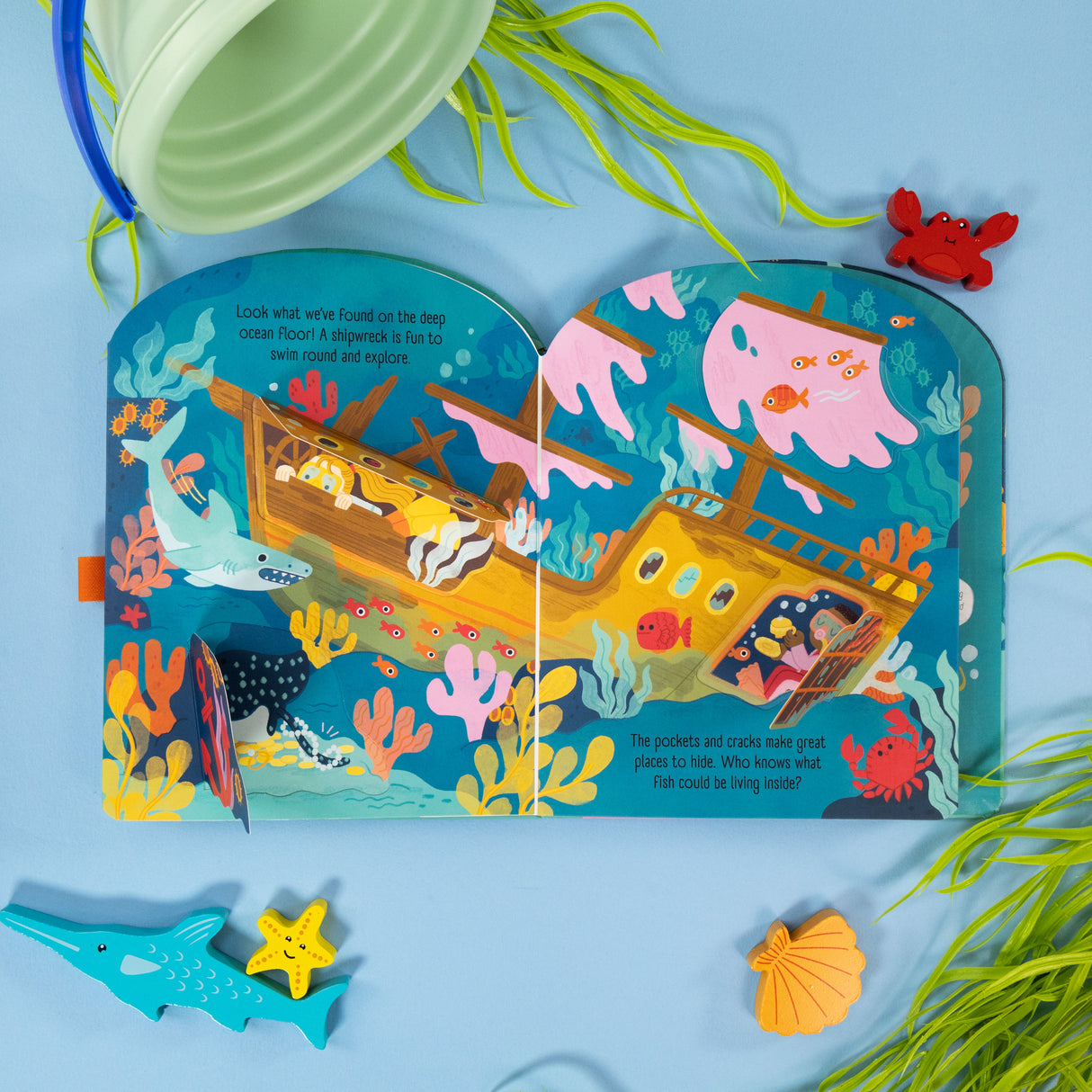 Ocean Explorers – Fold-Out Concertina Book
