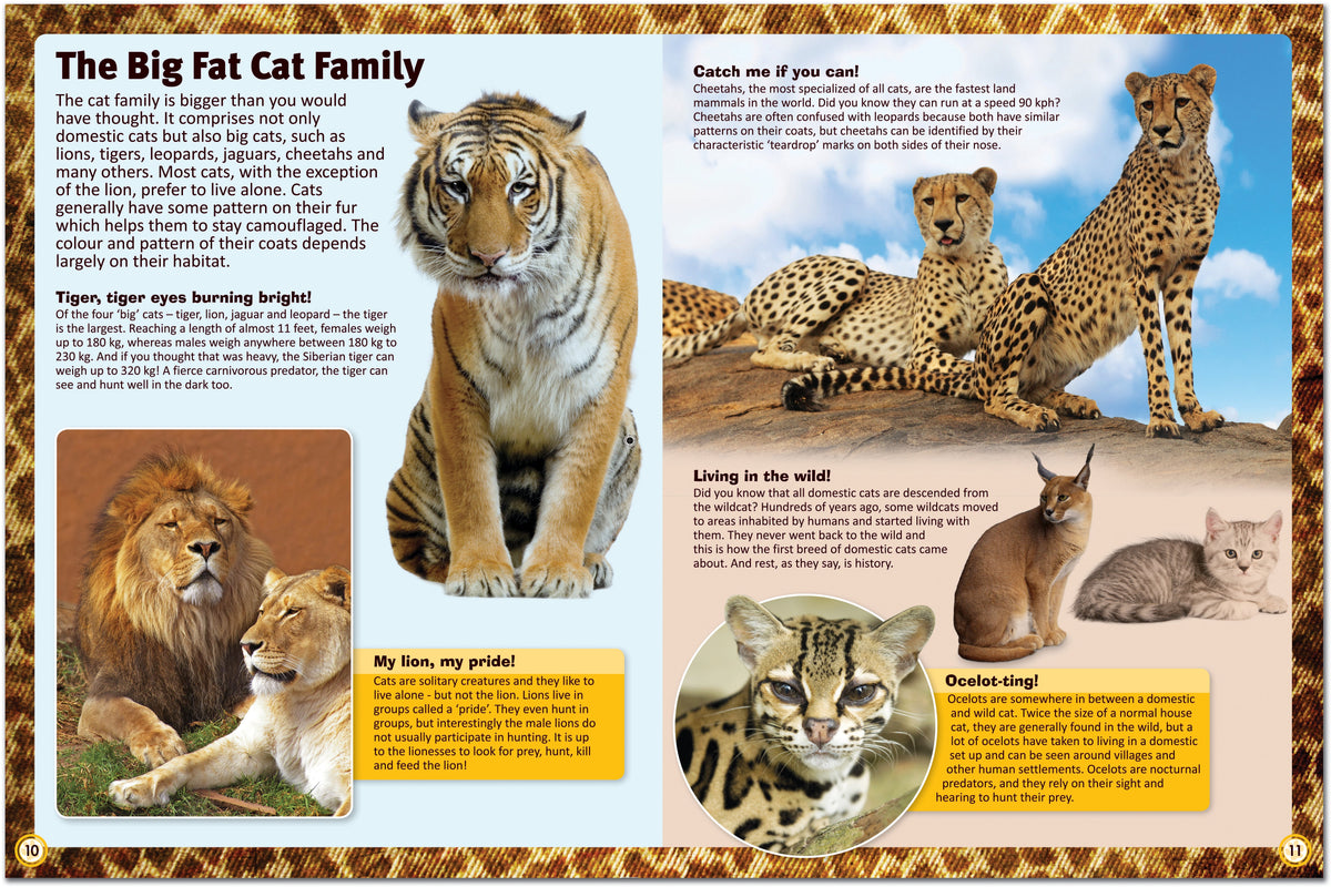 Cat Types Reference Encyclopedia of Cats: A Comprehensive Guide to Cat Breeds - Children's ...