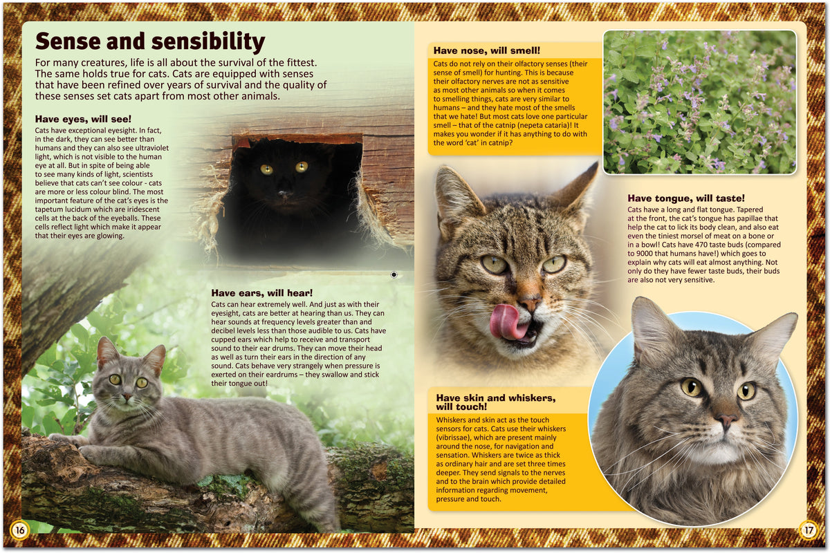 Cat Types Reference Encyclopedia of Cats: A Comprehensive Guide to Cat Breeds - Children's ...