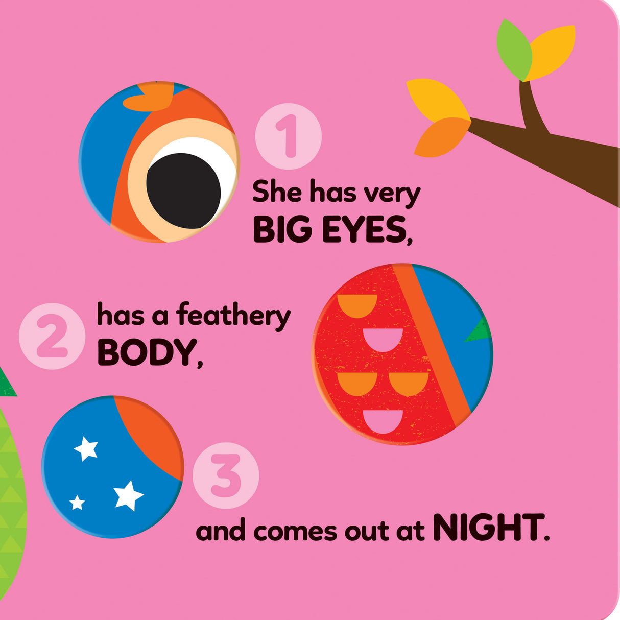1-2-3 What Can You See? In The Forest – Board Book