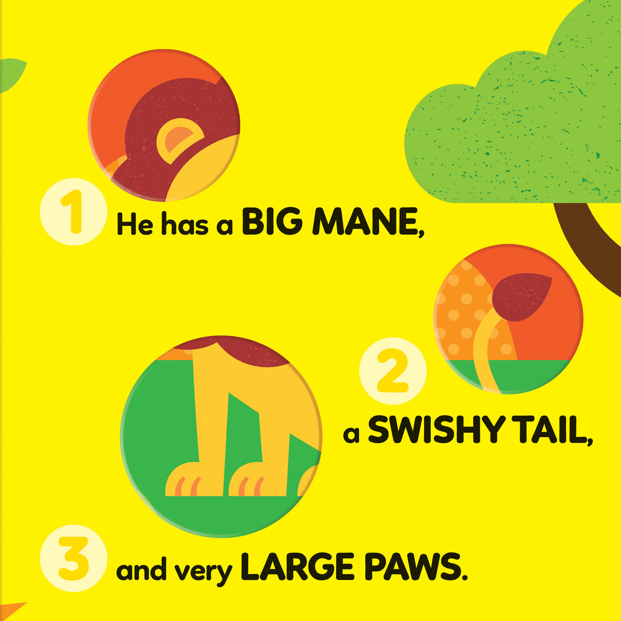 1-2-3 What Can You See? On Safari - Board Book