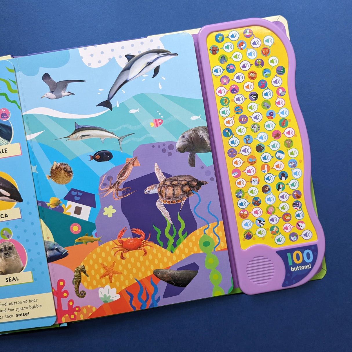 Look And Find Animal Words & Sounds - Children's 100 Button Sound Book