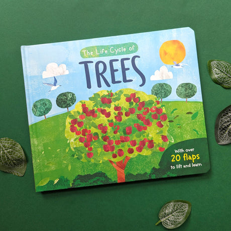The Life Cycle of Trees - Children’s Lift-the-Flap Book