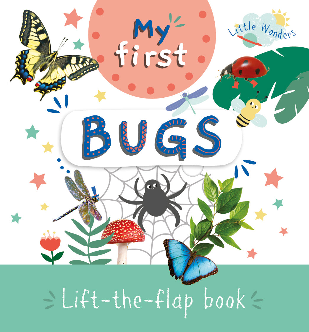 Little Wonders Mini Lift-The-Flap Book: My First Bugs