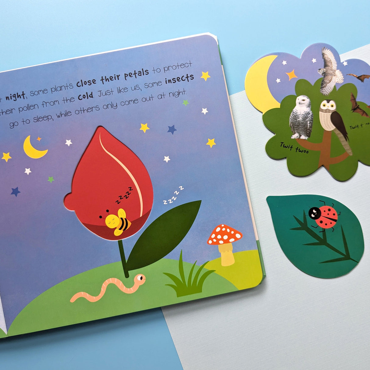 Night & Day - Children’s Pop-Out and Play Book