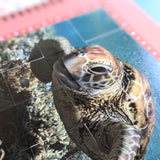 In The Ocean - Children’s Sticker By Number Activity Book
