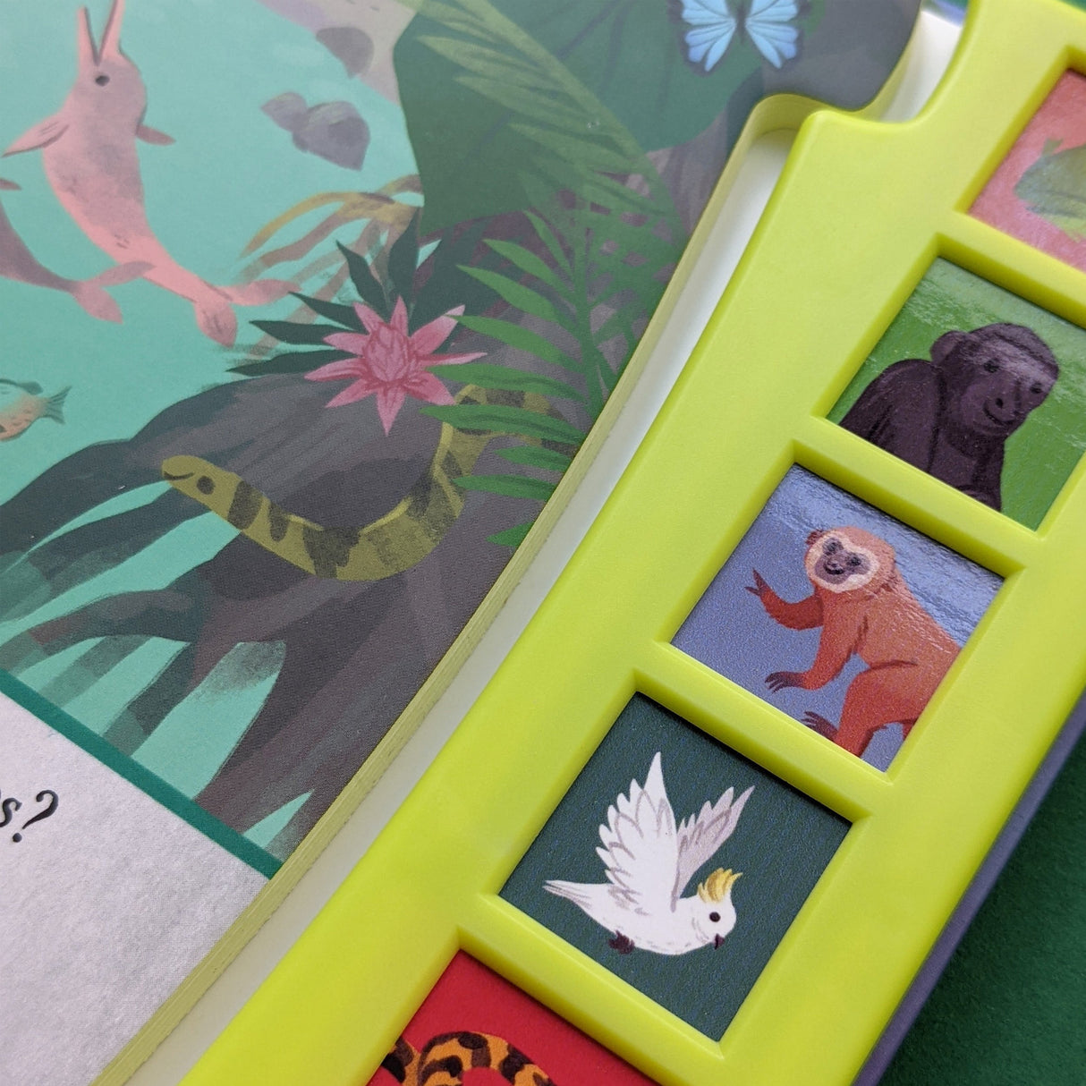 Let’s Explore The Noisy Jungle - Children's 6 Button Sound Book