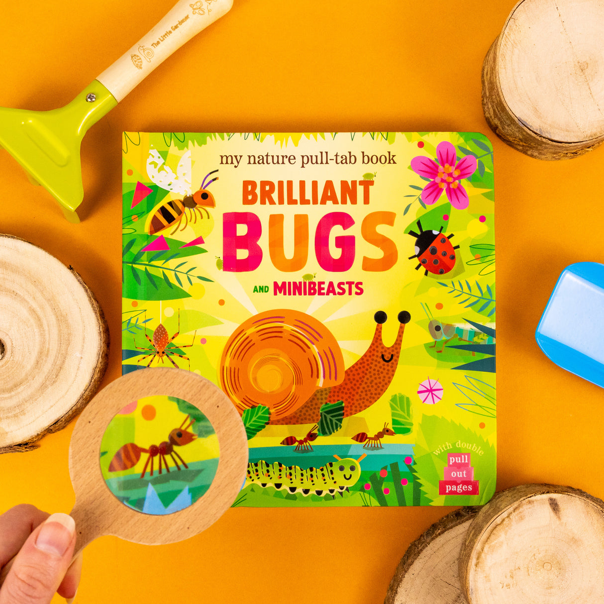Brilliant Bugs and Minibeasts - My Nature Pull‑Tab Board Book