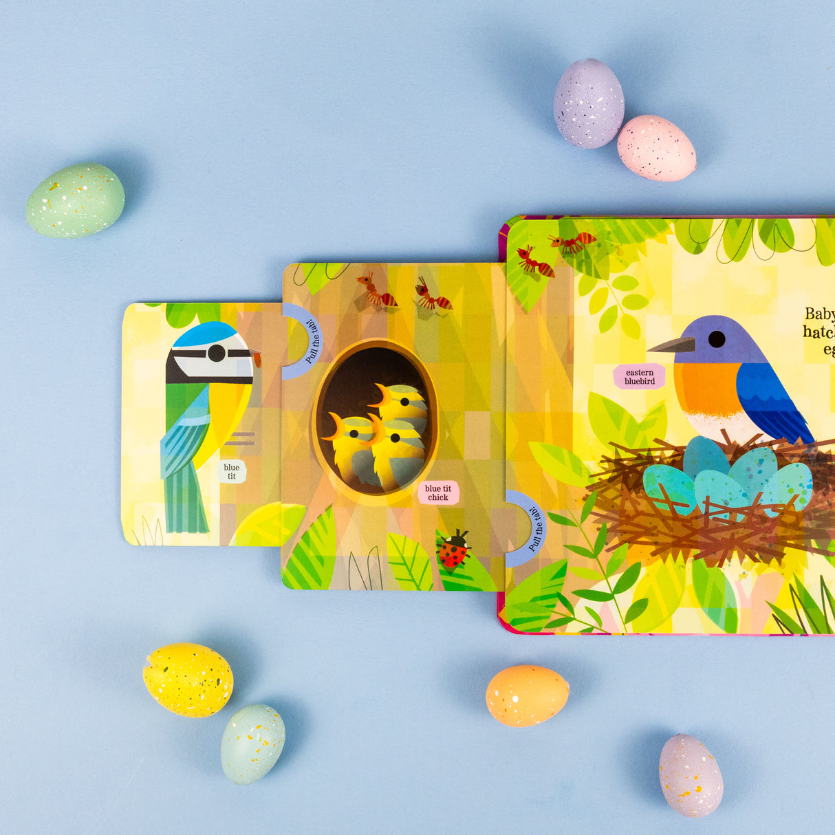 Beautiful Birds - My Nature Pull-Tab Board Book