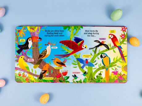 Beautiful Birds - My Nature Pull-Tab Board Book