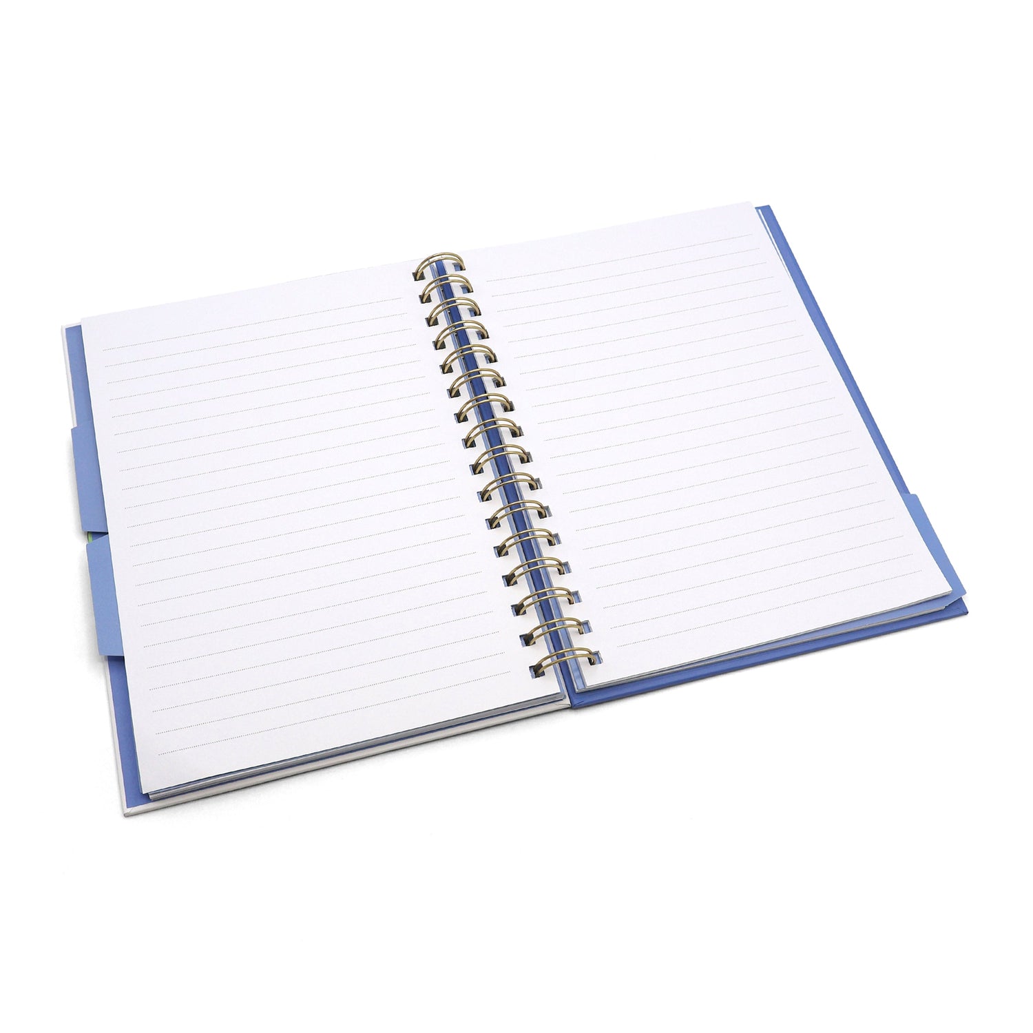 Peter Rabbit A5 Notebook Wired with Dividers – Out & About Design