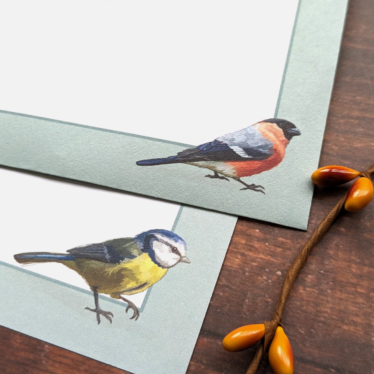 Patricia MacCarthy Writing Paper Set - Birds Design