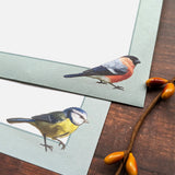 Patricia MacCarthy Writing Paper Set - Birds Design