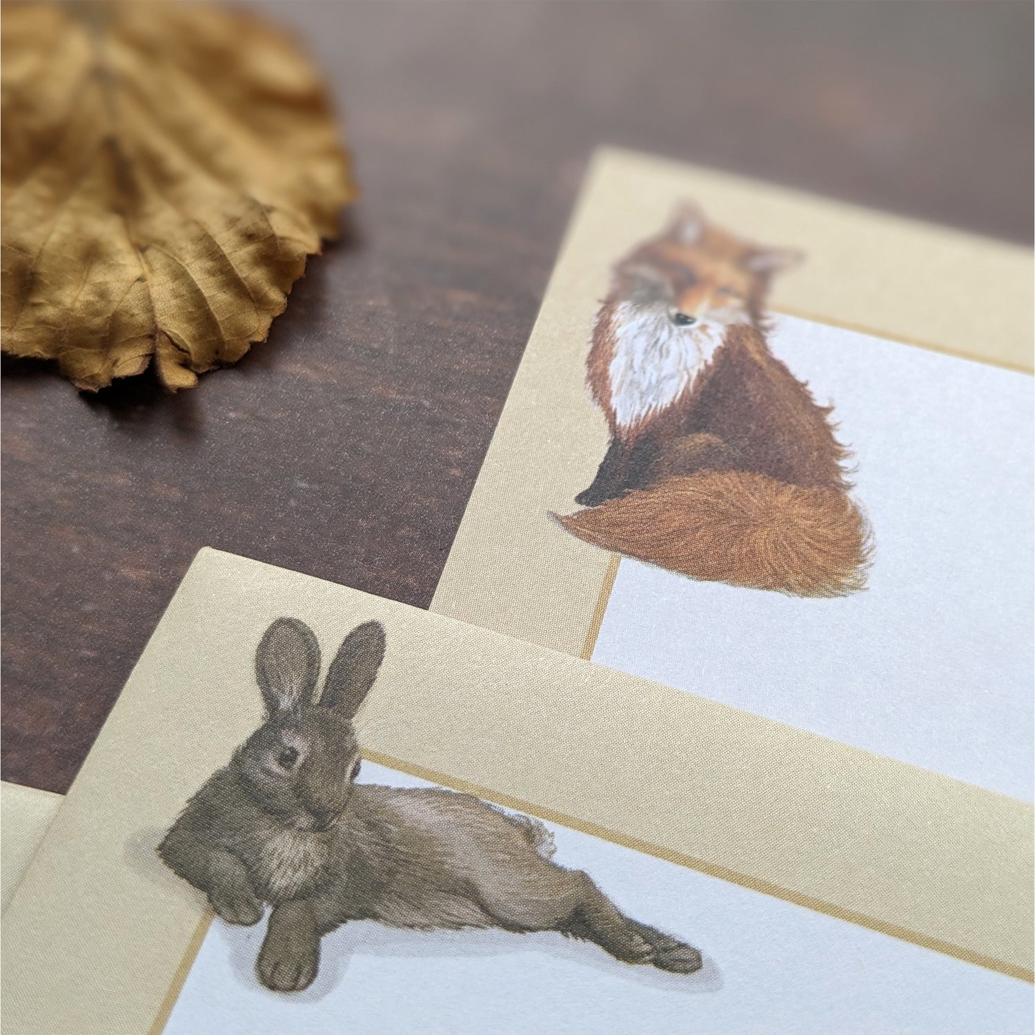 Patricia MacCarthy Writing Paper Set - Wildlife Design