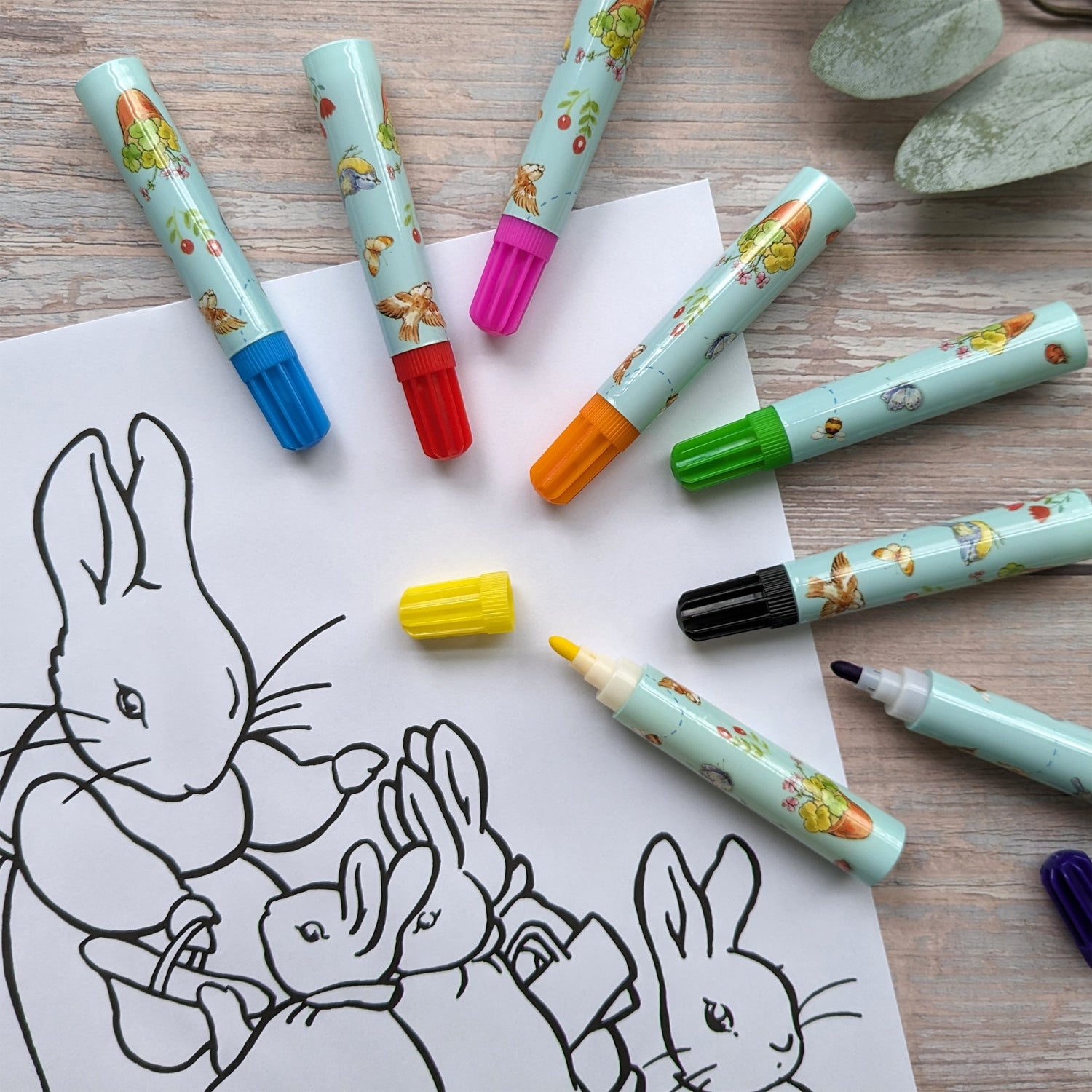 Peter Rabbit Jumbo Markers