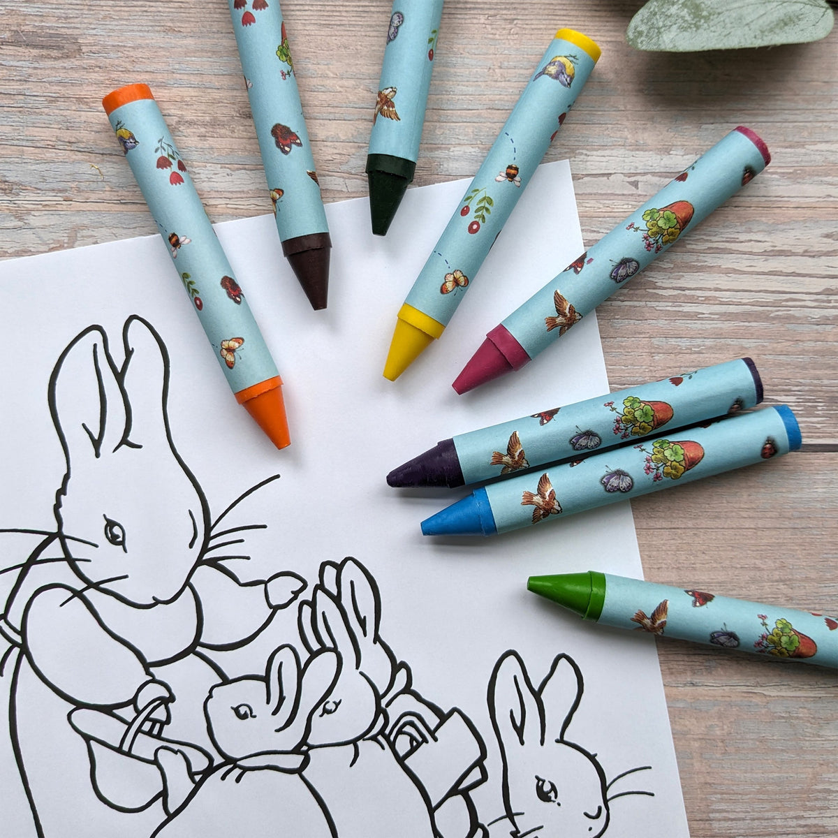 Peter Rabbit Jumbo Peter Rabbit Jumbo Crayons – Robert Frederick Trade