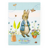 Peter Rabbit Writing Set - Letter Paper & Envelopes