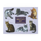 Patricia MacCarthy Notecards and Envelope Set - Cat Design
