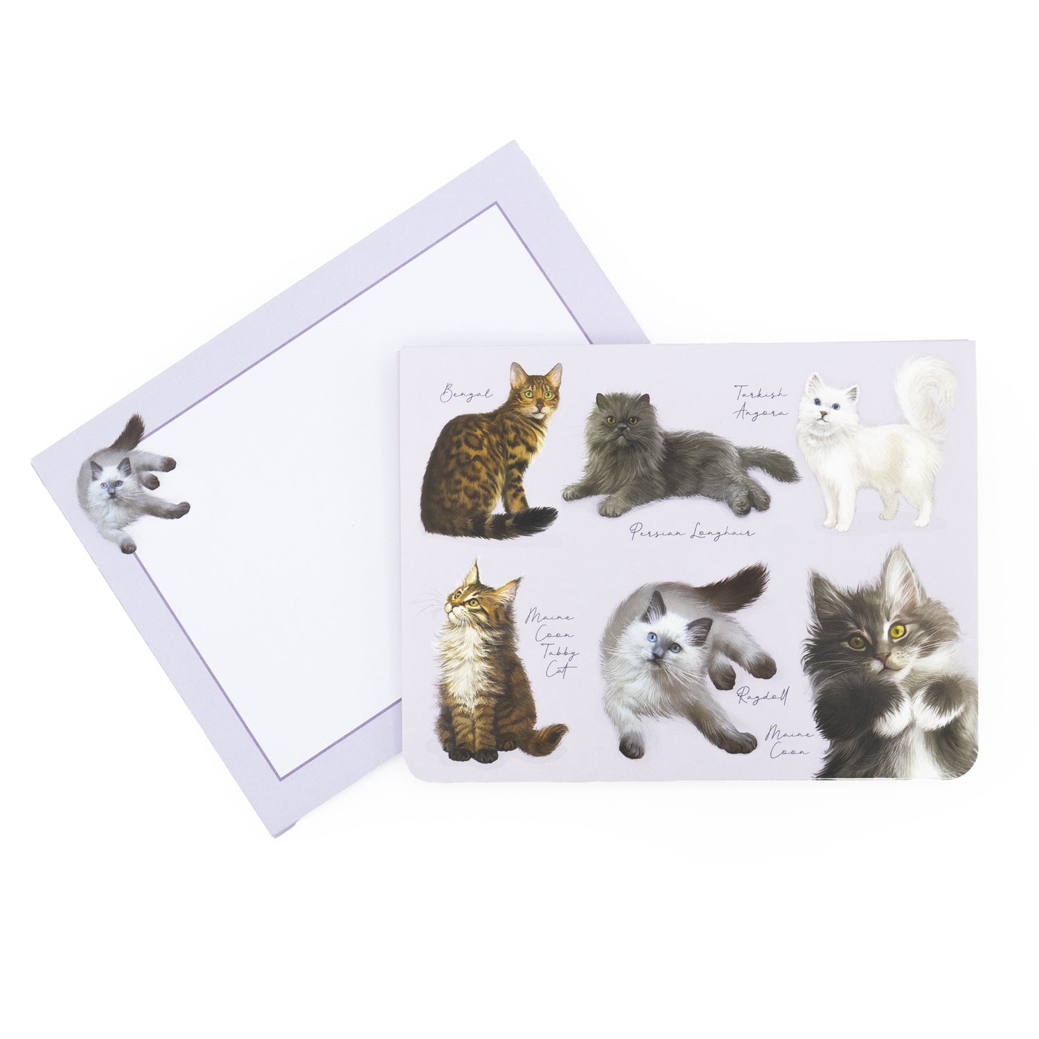 Patricia MacCarthy Notecards and Envelope Set - Cat Design