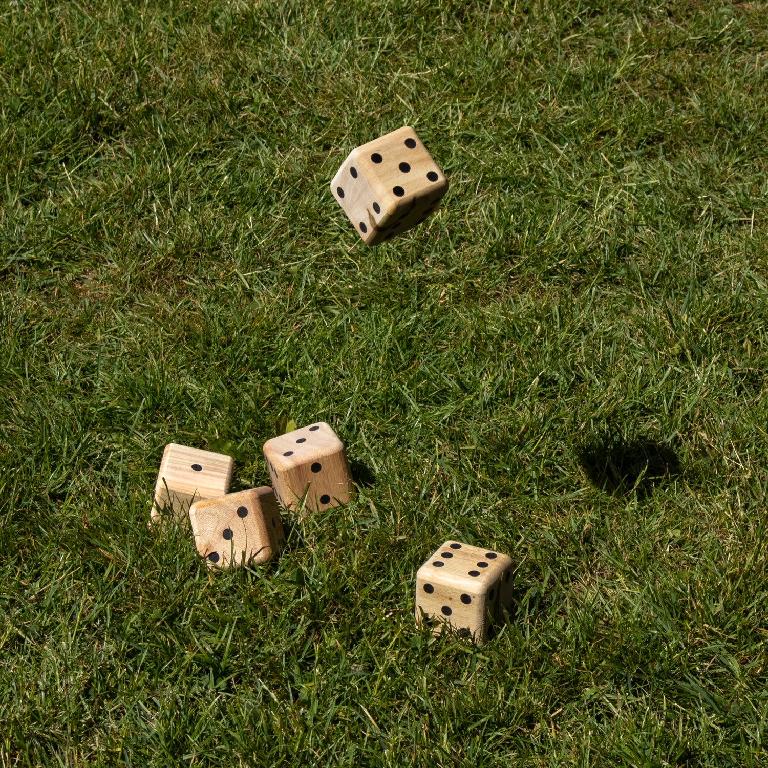 Giant Dice Game - Wooden Garden Game