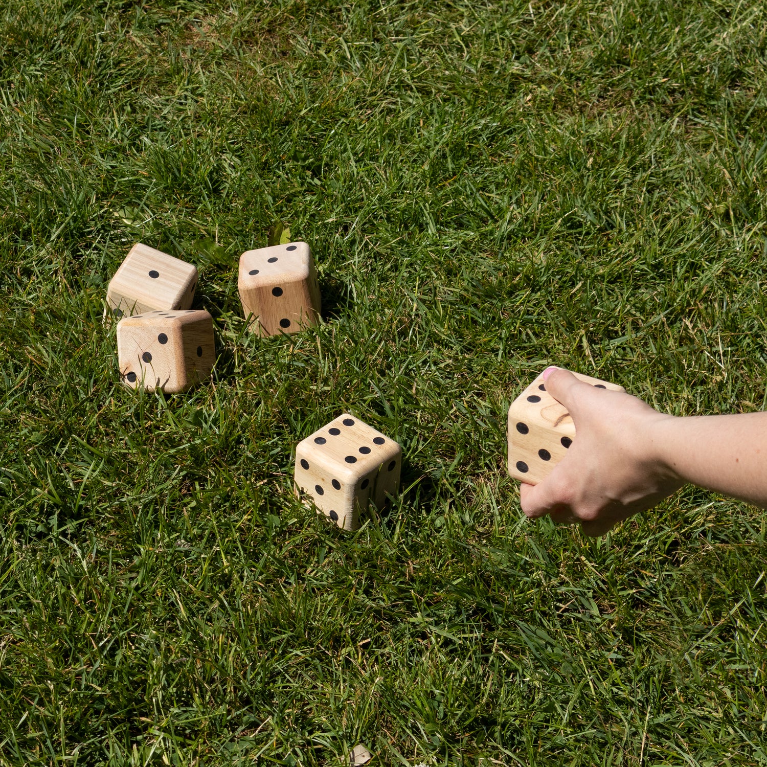 Giant Dice Game - Wooden Garden Game