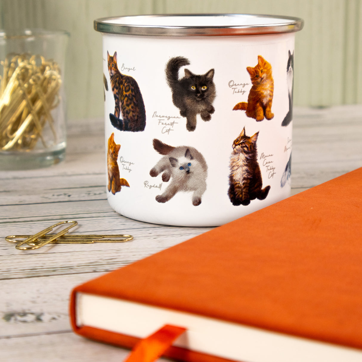 Patricia MacCarthy Cat Design Enamel Mug - Popular Cat Breeds
