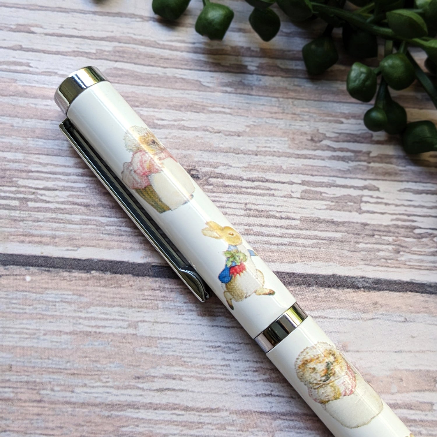 Beatrix Potter Ballpoint Pen in Gift Box