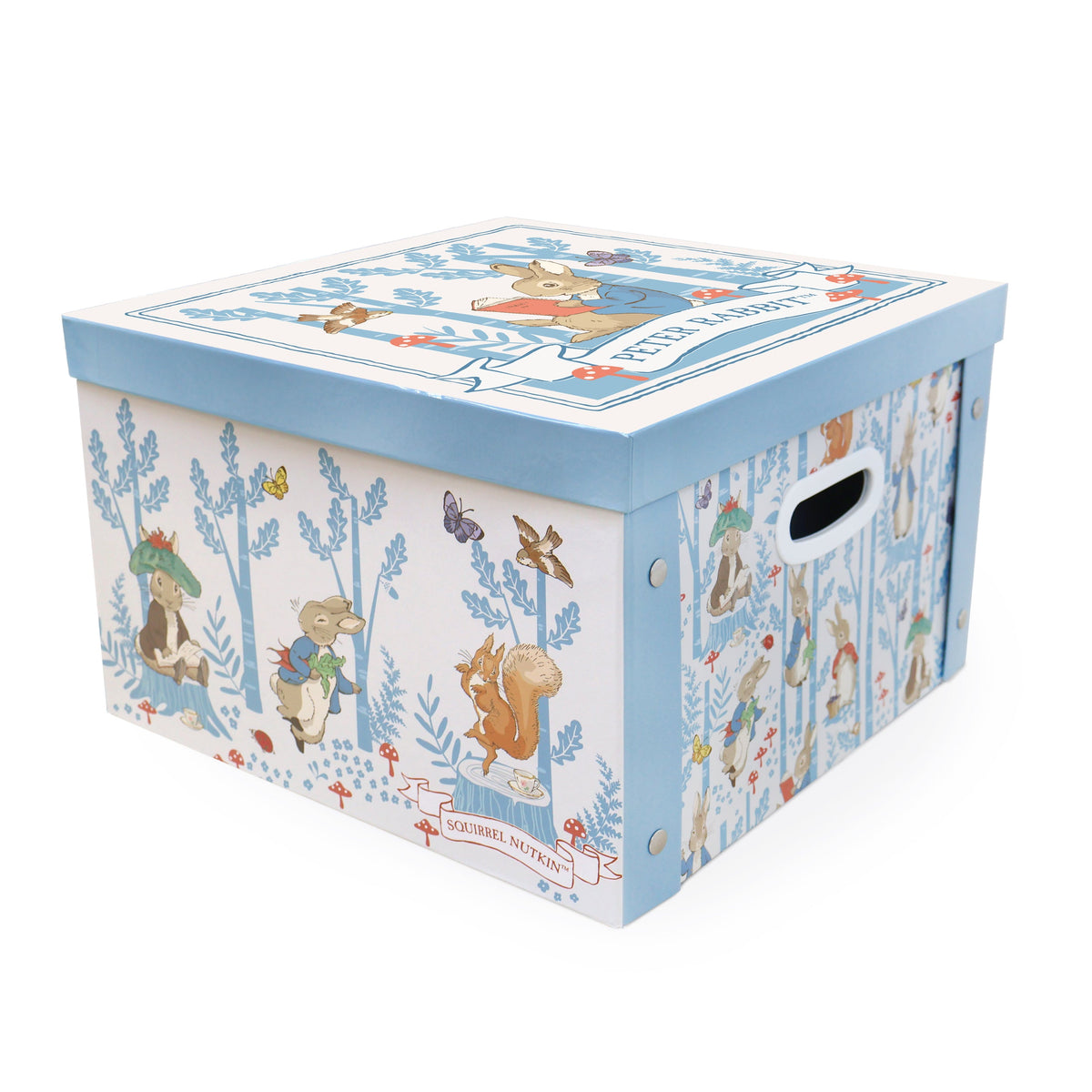 Peter Rabbit Forest Picnic Collapsible Storage Box – Robert Frederick Trade