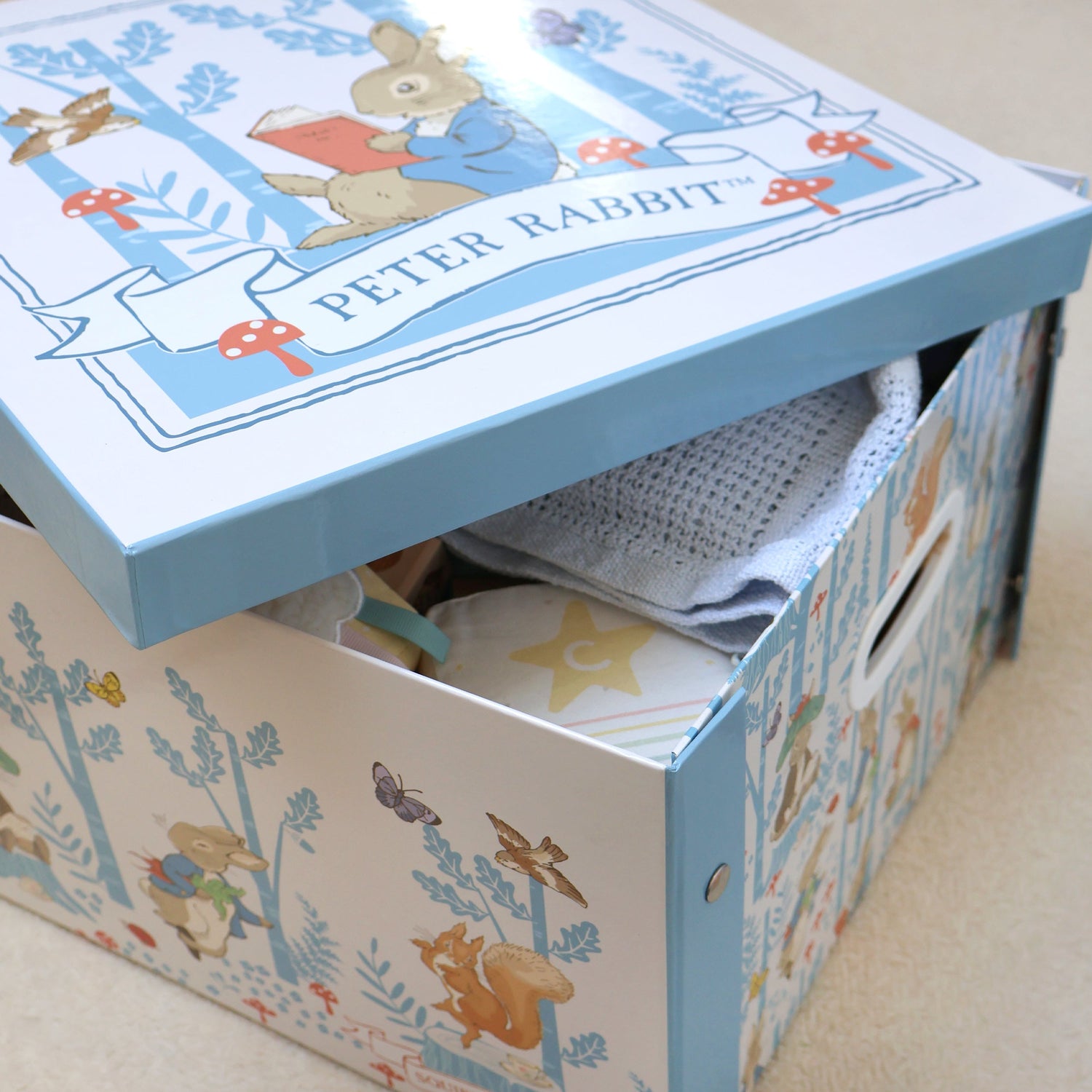 Peter Rabbit Forest Picnic Collapsible Storage Box